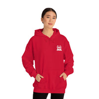Pickleball Paddle University Hoodie