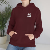 Pickleball Paddle University Hoodie