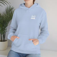 Pickleball Paddle University Hoodie