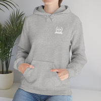 Pickleball Paddle University Hoodie