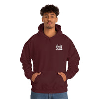 Pickleball Paddle University Hoodie